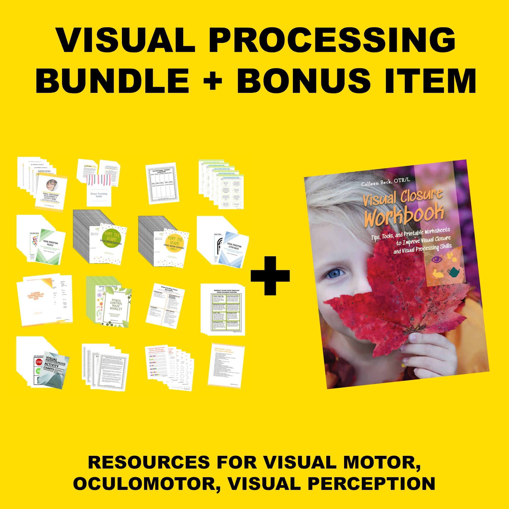 Visual processing resources