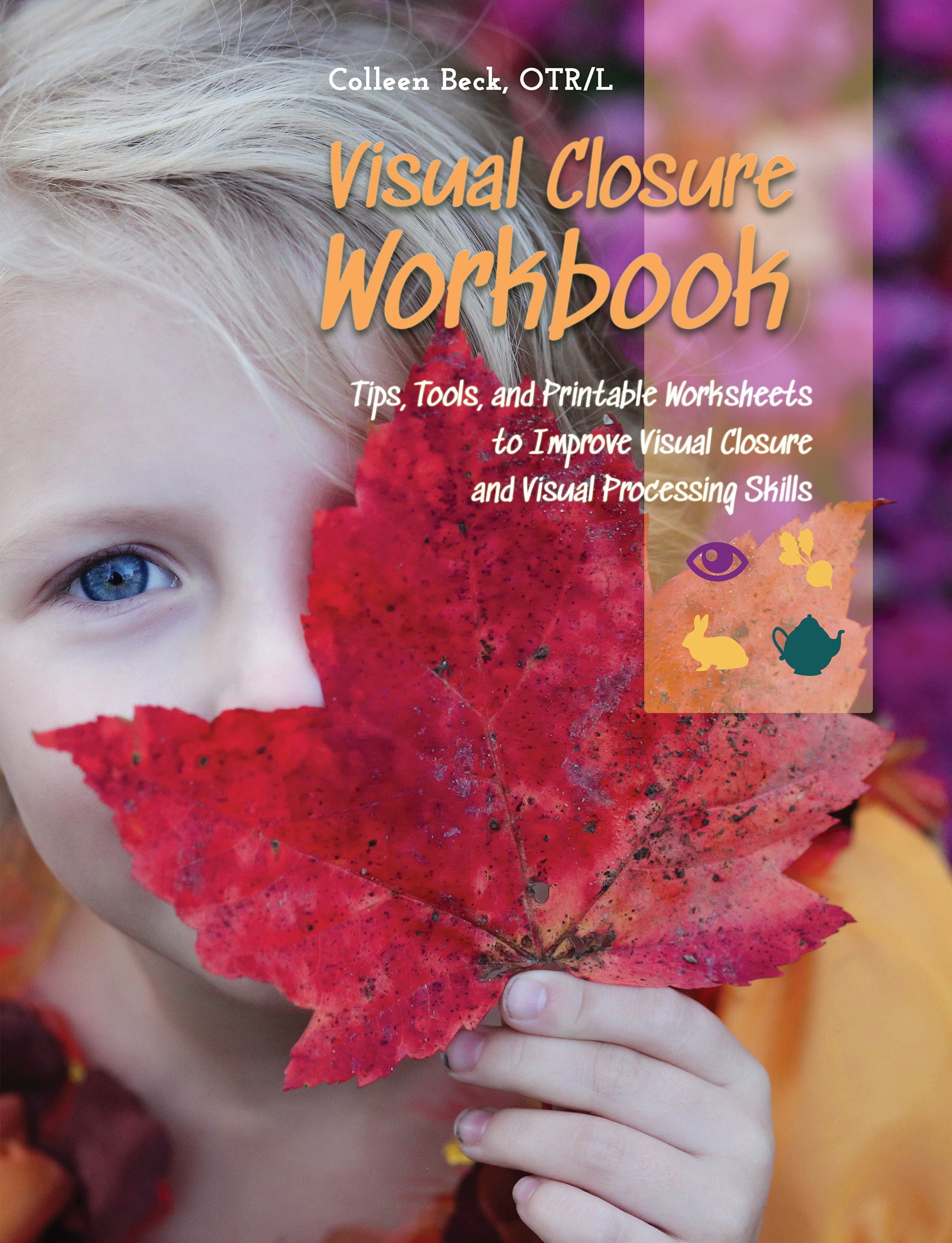 Visual Closure Workbook