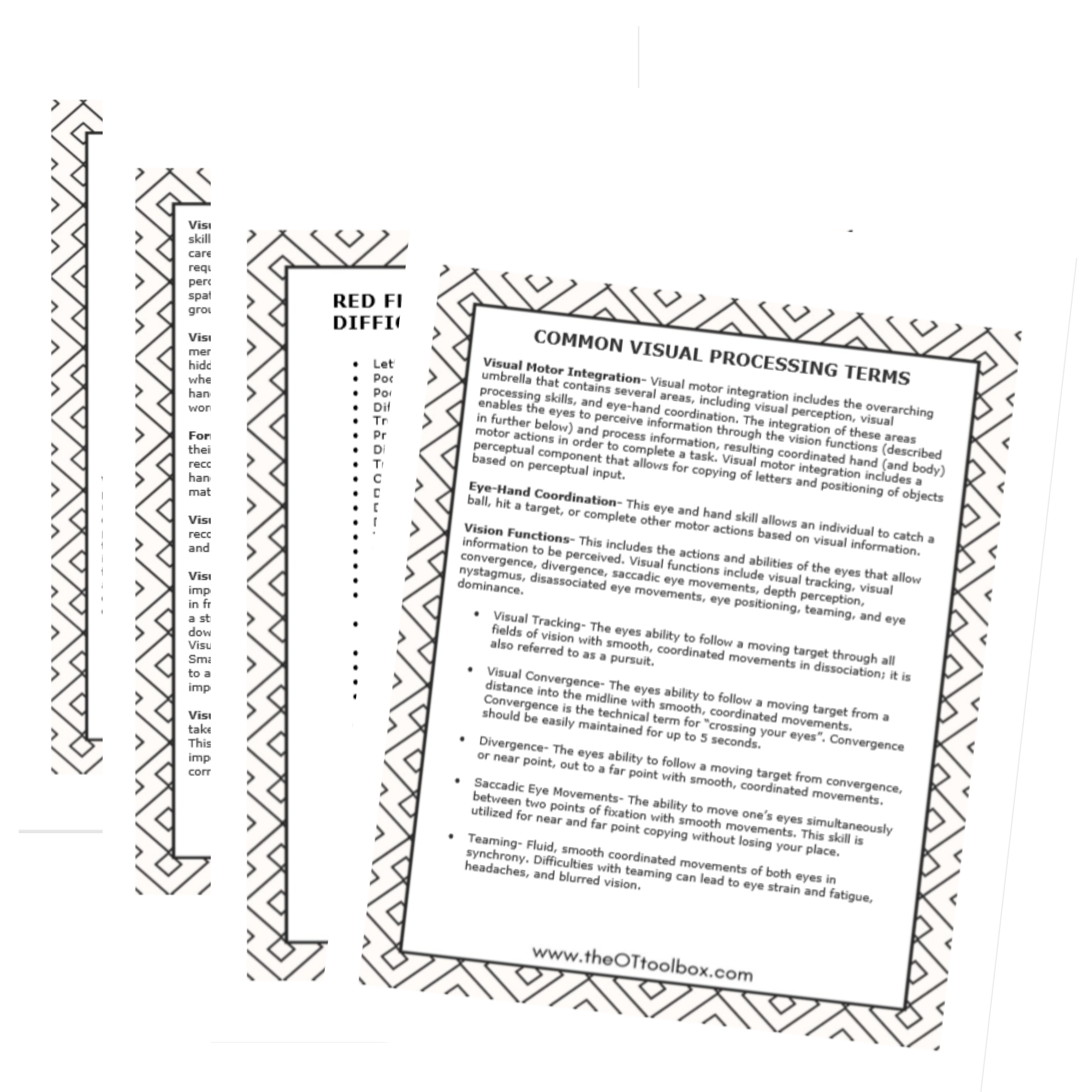 Visual Processing terms and definitions